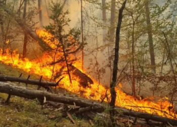 Թուրքիայում անտառային հրդեհները մարել չի հաջողվում