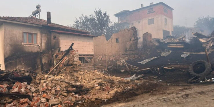 Հրդեհներ` Թուրքիայի հյուսիս-արևելքում. տարհանվել է 2 թաղամաս