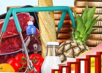 Սպառողական զամբյուղի մթերքներն ամռան շեմին կրկին թանկացել են. «Ժողովուրդ»