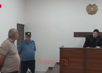 Շանը մեքենայից քարշ տվածն աշխատել է ՄԻՊ-ում ու իրավաբան է. կենդանասերներն ապշեցին