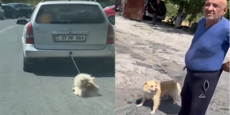 Շանը Օփելի հետևից կապած ու քարշ տված տղամարդու առաջին դատը. ՈւՂԻՂ