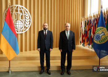 Միրզոյանը հանդիպել է Քիմիական զենքի արգելման կազմակերպության գլխավոր քարտուղարի հետ