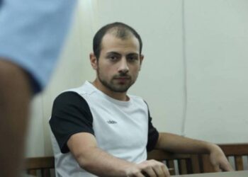 Աշոտ Փաշինյանը ցանկանում է զբոսավար աշխատել․ «Հրապարակ»