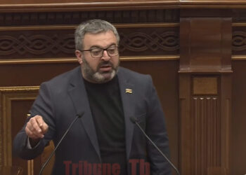 Ցեղասպանության մասին հոդվածը ընդունեք, սխալ անենք՝ մի հոգու ավել կդատեք. տեսանյութ