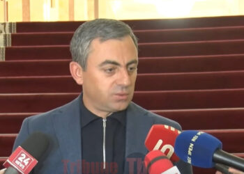 Սրանք կարծում են, որ մեր ժողովուրդը մտածում է բացառապես ստամոքսով. Սաղաթելյան. տեսանյութ