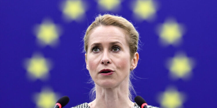 «Ռուսական անօդաչու թռչող սարքի ներխուժումը Լեհաստան միտումնավոր էր». Կալլաս