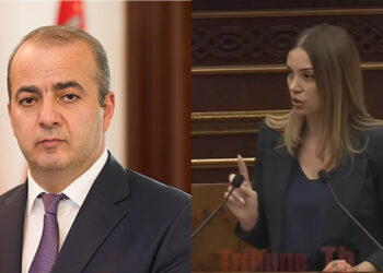 Աբազյանի որդին 600 հազար դոլարանոց տուն է գնել՝ Ծառուկյանի հետ փոխկապակցված անձից. տեսանյութ