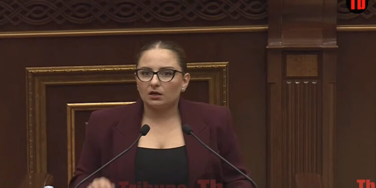 Վտանգավոր ահաբեկիչ եմ, դանակ էլ կա մեր տանը, ջրի ատրճանակ էլ. Քրիստինե Վարդանյանի ծաղրը. տեսանյութ