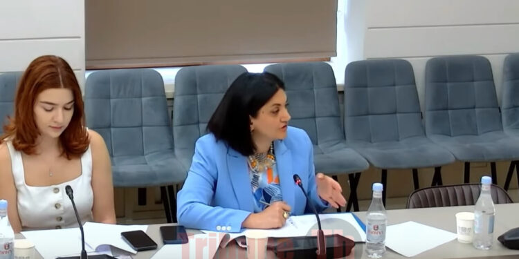 Պետպատվերի հետ կապված խնդիր չունենք, ի՞նչ խնդիր կա. փոխնախարար. տեսանյութ