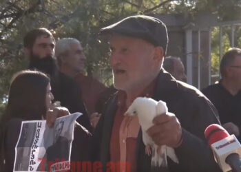 Թռի՜. Ինչ եղավ, երբ գյումրեցին դատարանի բակում աղավնի բաց թողեց՝ ի պատիվ սրբազանի. տեսանյութ