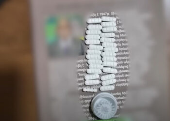 Առանձնապես խոշոր չափերով ափիոնի հայտնաբերում` Սյունիքում. Երևանի քրեական ոստիկանների բացահայտումը. տեսանյութ