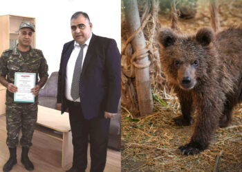 ՊՆ զինծառայողը պարգևատրվել է ՀՀ կարմիրգրքյան արջի քոթոթին փրկելու համար