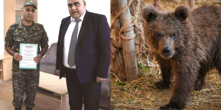 ՊՆ զինծառայողը պարգևատրվել է ՀՀ կարմիրգրքյան արջի քոթոթին փրկելու համար