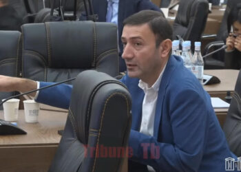 Գործընկերներիս հետաքրքիր է ոչ թե պատասխանը, այլ հարցը․ Թունյան. տեսանյութ