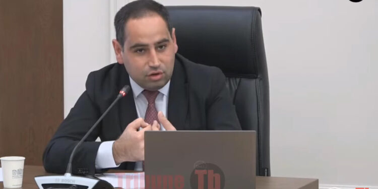 Չեմ հասկանում՝ ո՞նց է ստացվում, որ կարկտահարության մասին ինձ են հարց տալիս․ Խուդաթյան. տեսանյութ