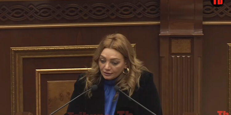 «Ո՞վ ասաց, որ բոլորը պետք է ունենան բարձրագույն կրթություն. իմ փոքրիկ կենսագրության հետևում սեր է թաքնված». ՔՊ-ական պատգամավոր