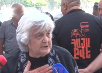 Խնդրում եմ, դուրս եկեք փողոց էս տականքներին վերացնենք. զոհվածի մայր. տեսանյութ