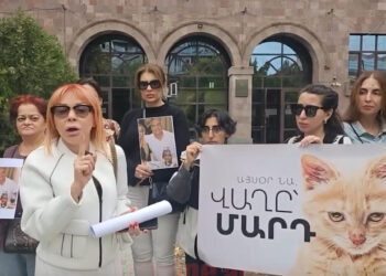 Կատվին խոշտանգածը պիտի պատժվի. կենդանասերների ցույցը դատարանի դիմաց. տեսանյութ