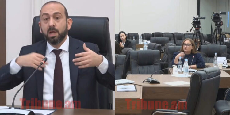 Էդ ի՞նչ ենք ասել, ոչ սուտ ա եղել, ես ասեմ ձեր ստերը. Քրիստինե Վարդանյանը՝ Միրզոյանին. տեսանյութ