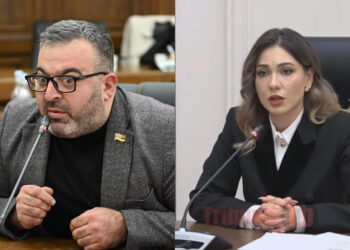 Գոտկատեղից ներքև են հարվածում. Գառնիկ Դանիելյանը՝ Սրբուհի Գալյանին. տեսանյութ