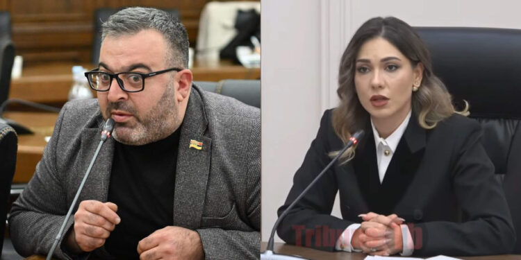 Գոտկատեղից ներքև են հարվածում. Գառնիկ Դանիելյանը՝ Սրբուհի Գալյանին. տեսանյութ