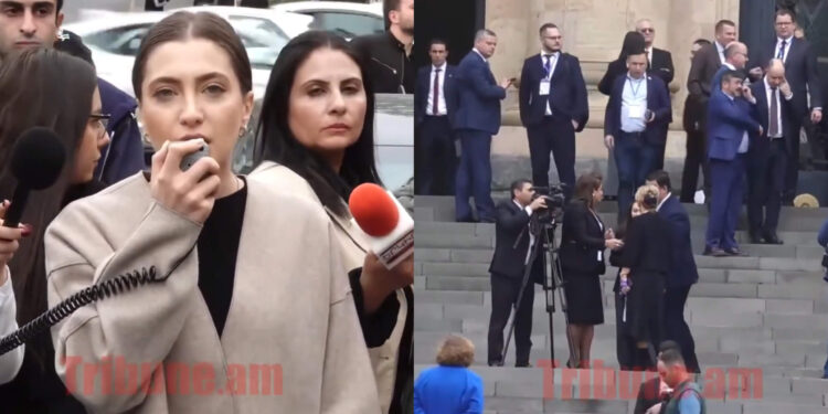 Աննա Մկրտչյանի կոչը՝ եվրապատգամավորներին. ինչ են անում Նիկոլին քննադատողներին. տեսանյութ