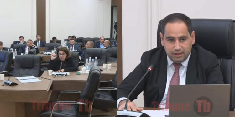 Մեկ տարի է՝ նույն հարցը բարձրաձայնում եմ, ասում են՝ քննարկում ենք․ Կյուրեղյանը՝ նախարարին. տեսանյութ