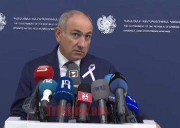 Հայաստանում դարդերով զբաղվող մի ինստիտուտ կա՝ դա Կառավարությունն է, մնացածը կենացների ժանրից են. տեսանյութ