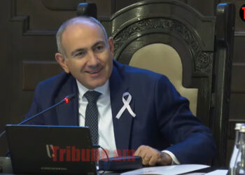 Մենք գիտելիք չունենք. Փաշինյանը էստոնացիների է կանչել, որ պաշտոնյաներին դաս տան. տեսանյութ