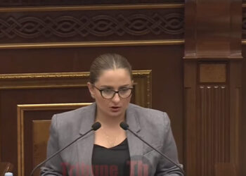 «Չորրորդ հանրապետություն» ստեղծելուց առաջ, Երևանում տարրական խնդիրները լուծեք. Վարդանյան. տեսանյութ