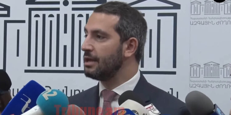 Վարդանիկի մռութը ասֆալտին ես չեմ տեսել. Ռուբինյան. տեսանյութ