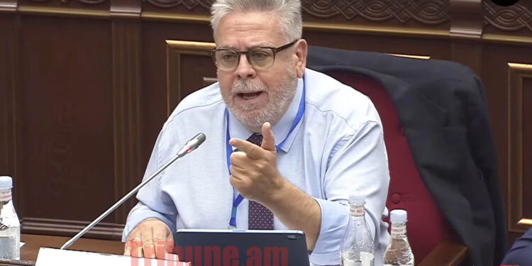 Ապտակ ՔՊ-ին՝ եվրապատգամավորից. 20-40 ոստիկան եք ուղարկում, մարդուն կարծիքի համար բանտարկում. տեսանյութ