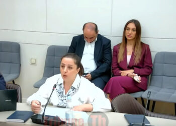 Արծվաշենը հետ բերելու համար ի՞նչ եք արել. ՔՊ-ականը՝ Մամիջանյանին. տեսանյութ