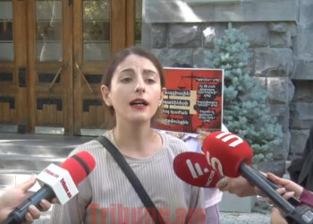 5-րդ հարկից շուն էին գցել ներքև,ու՞ր է այդ գործը, երևի համարել են` հանցակազմ չկա. տեսանյութ