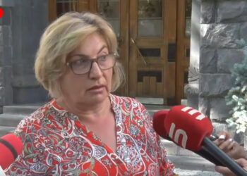 Շներին կերակրում էի, տարան հոգեբուժարան. ցուցարար. տեսանյութ