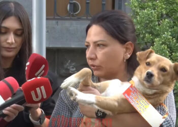 Մեզ լուրջ չեն վերաբերվում, մարդիկ գումար են լվանում ու չեն պատժվում. ցուցարար. տեսանյութ