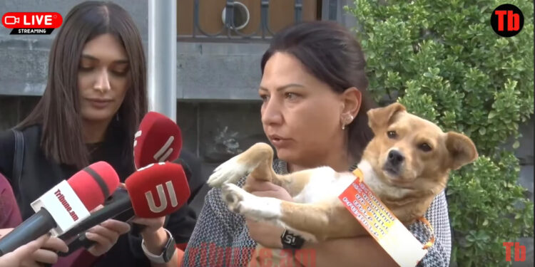 Մեզ լուրջ չեն վերաբերվում, մարդիկ գումար են լվանում ու չեն պատժվում. ցուցարար. տեսանյութ