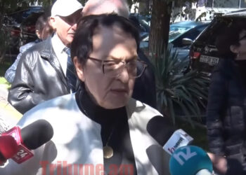 Անբարոյական հատարարություն է, հիմա շատ լավ երևում է Մասիսը, կարո՞ղ եք փակել, իհարկե ոչ. տեսանյութ