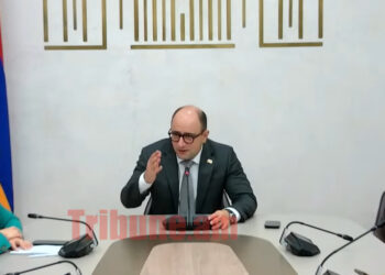 Էդ լեզուն ադրբեջանցիների բերանը Փաշինյանն է դրել. Մամիջանյան. տեսանյութ