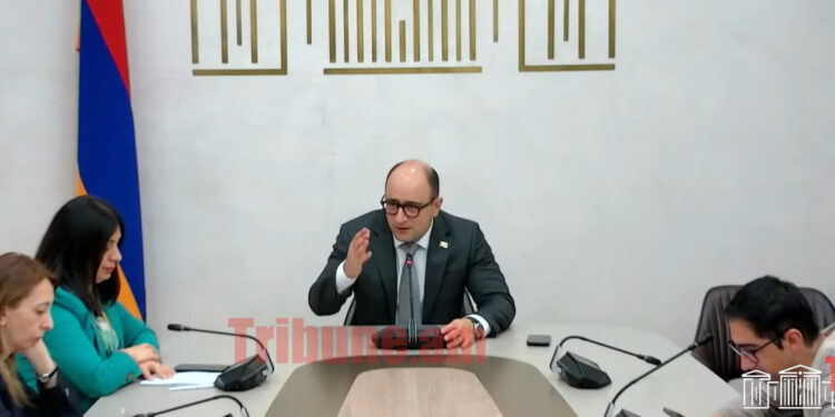 Էդ լեզուն ադրբեջանցիների բերանը Փաշինյանն է դրել. Մամիջանյան. տեսանյութ