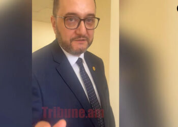 Ձեզ Արայիկ էֆենդի, Արայիկ օղլու ասեն, նորմա՞լ ա. լրագրողը՝ Արայիկ Հարությունյանին. տեսանյութ