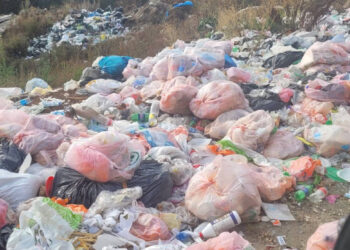 «Սևան» ազգային պարկի հողերին հասցվել է շուրջ 33.5 միլիոն դրամի վնաս. ԲԸՏՄ