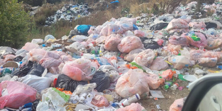 «Սևան» ազգային պարկի հողերին հասցվել է շուրջ 33.5 միլիոն դրամի վնաս. ԲԸՏՄ