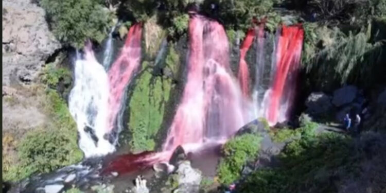 Շաքիի ջրվեժի տարածքում երեխայի սեռի որոշման արարողություն է կազմակերպվել. ահազանգն ընթացք կստանա. ՇՄՆ