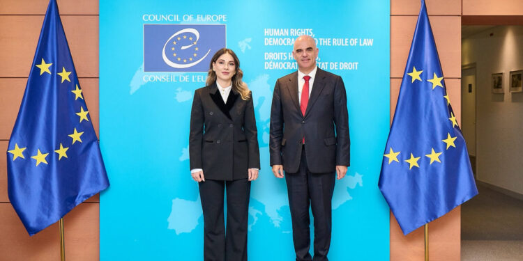 «Եվրոպայի խորհրդի գլխավոր քարտուղարի հետ քննարկեցինք Սահմանադրական բարեփոխումների ընթացքը». Գալյան