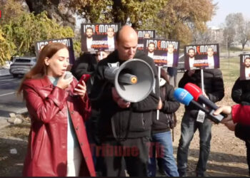 «Շան լակոտ» արտահայտության մեջ վիրավորանք չեն տեսել. տեսանյութ