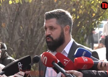 Սա սրիկայություն է, նողկալի գործողություն, որը հեշտ չեն մարսելու. Ալեքսանյան․ տեսանյութ