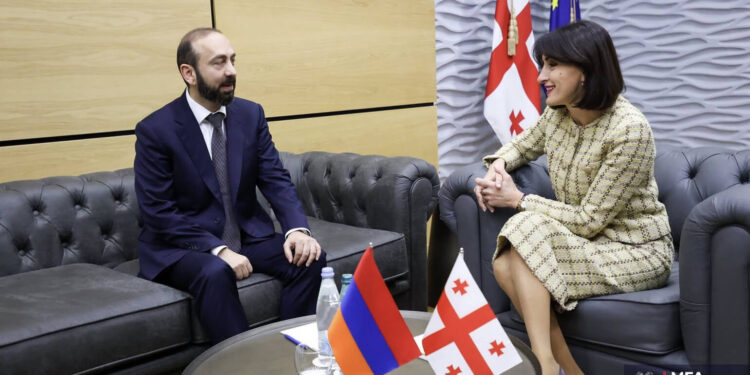 Հայաստանի և Վրաստանի ԱԳ նախարարները քննարկել են տարածաշրջանային հարցեր