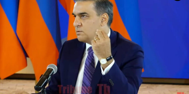 Վիզը կպոկե՛մ էդ պաշտոնյայի, ո՞նց կարելի է էդ աստիճան հայհոյանք տալ. Թաթոյան. տեսանյութ