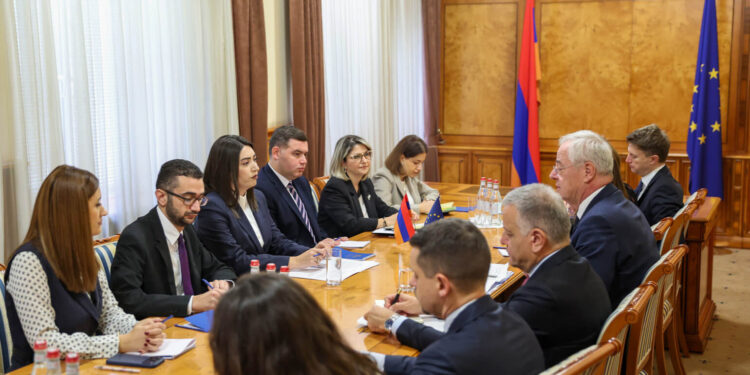 Արփինե Սարգսյանը Եվրոպական հանձնաժողովի պաշտոնյայի հետ քննարկել է վիզաների ազատականացման գործողությունների ծրագրի հիմնական ուղղությունները